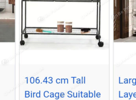 Pair of budgies an cage for sale &pound;150