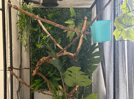 XL reptibreeze
