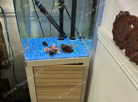 Fish tank