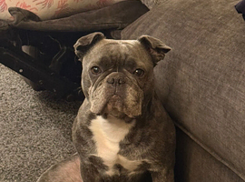 Betty 7 year old Frug