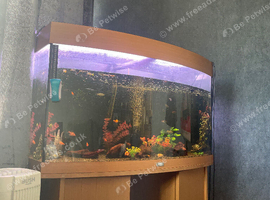 180 litre fish tank and the fish init aswell comes with heater and lights filter