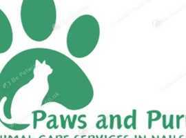 Cat and small animal sitting, Nailsworth