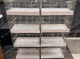 2x cages