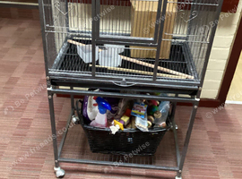 Bird cage on wheels wit loads food and accessories &pound;125