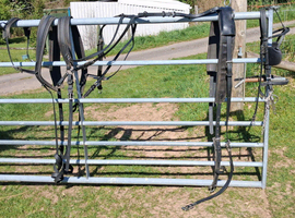Driving harness