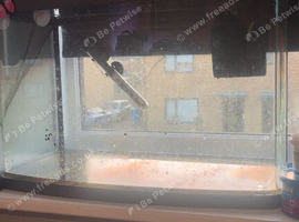 65L fish tank