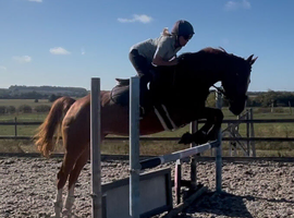Allrounder project