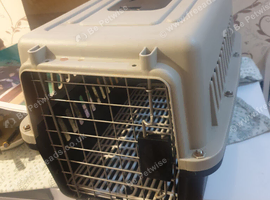 Pet carrier