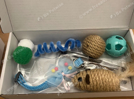 DC Fertility Services (Kitty Kat Packs)