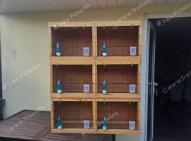 Breeding cages