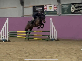 ISH/Standardbred
