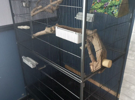 Nice cage for sale