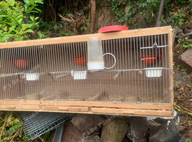 Breeding cage