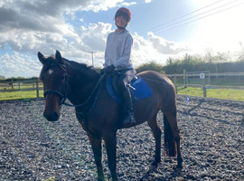 Bobbie - 8 year old - TB x SB
