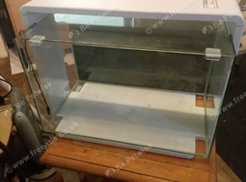 Fish tank and fish