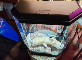 FISH TANK WITH LIGHT AND ACCESSORIES