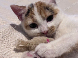 One year old girl
