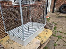 Cage for rat. Big