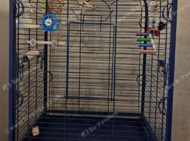 Large bird cage and full set up
