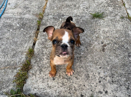 One little girl