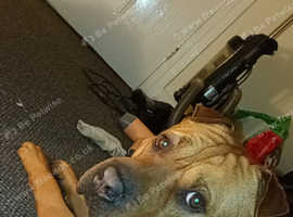 Available whenever