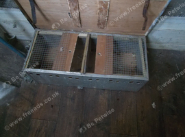 CARRING BOX FOR SALE &pound;10..