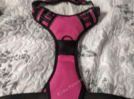 Padded dog harness