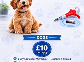 Mobile Microchipping services