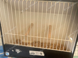 Travel cage /show cage