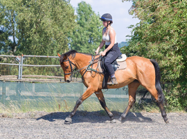 16hh 12 year old tb