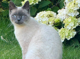 Betty is looking for her new home