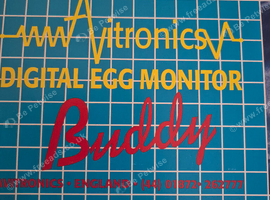 Egg buddy