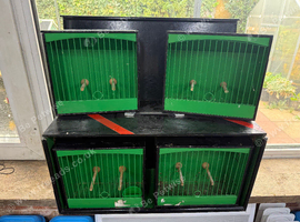Show/travel cages with carry box