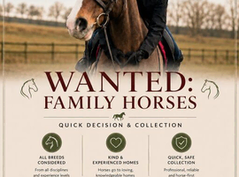 Horses wanted