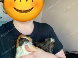 2 Bonded Brothers