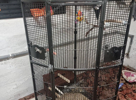 Stunning beautiful  corner bird cage ideal for cockatiels  6 total or other birds