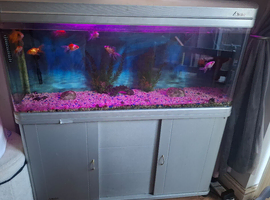 Fish tank and tank