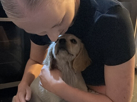 Female pup
