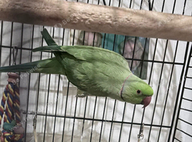 New home needed