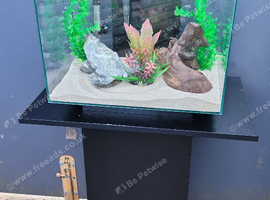 Fluval Edge 46L aquarium