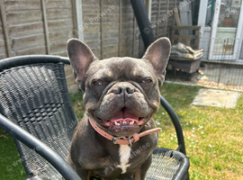 This is Dolly-May