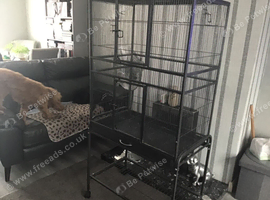PARROT/BIRD CAGE
