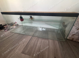 Hamster tank