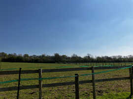 Grazing available Nr Gillingham Dorset