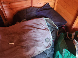Turnout rugs