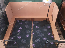 Welping box