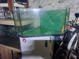 various fish tanks