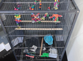 cockatoo/budgie cage