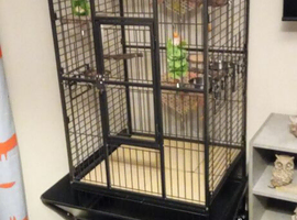 New parrot cage