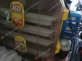 Bird eggs incubator